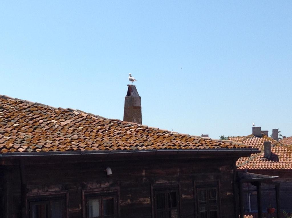 Apartament Tatjana